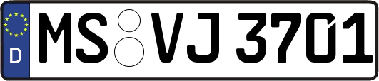 MS-VJ3701