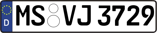 MS-VJ3729