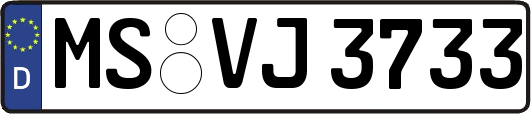 MS-VJ3733