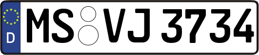 MS-VJ3734