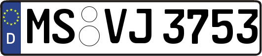 MS-VJ3753