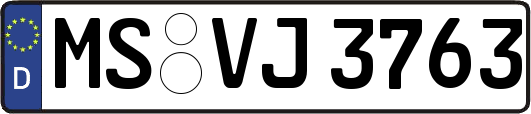MS-VJ3763