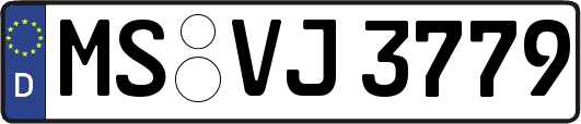 MS-VJ3779