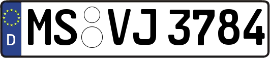 MS-VJ3784