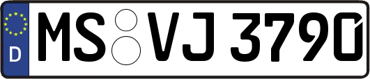MS-VJ3790