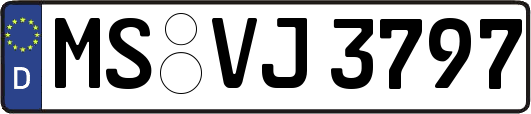 MS-VJ3797