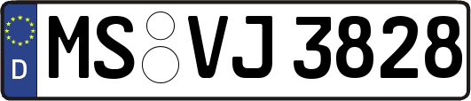 MS-VJ3828