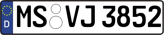 MS-VJ3852