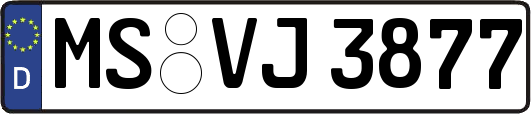 MS-VJ3877