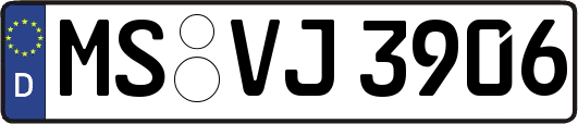 MS-VJ3906