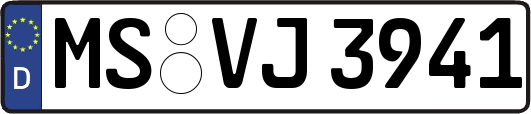 MS-VJ3941