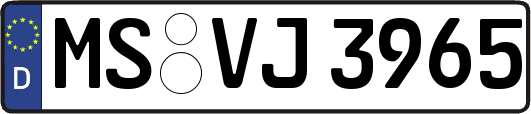 MS-VJ3965