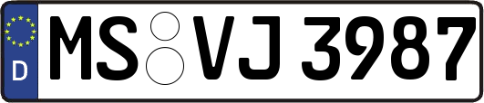 MS-VJ3987