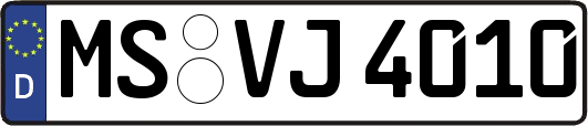 MS-VJ4010