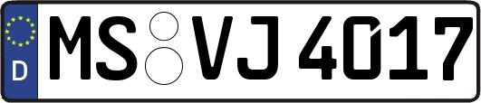 MS-VJ4017