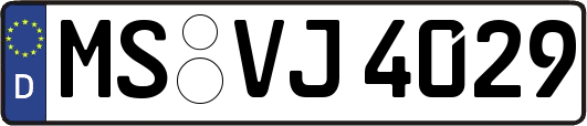 MS-VJ4029