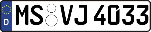 MS-VJ4033