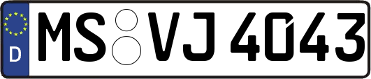 MS-VJ4043