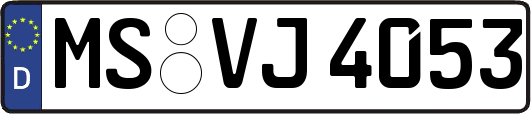 MS-VJ4053