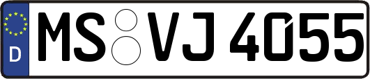 MS-VJ4055