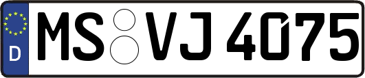 MS-VJ4075