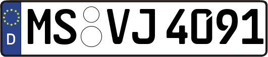 MS-VJ4091