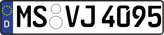 MS-VJ4095