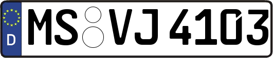 MS-VJ4103