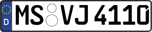 MS-VJ4110