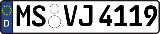 MS-VJ4119