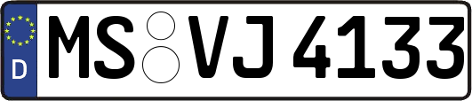 MS-VJ4133