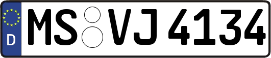 MS-VJ4134