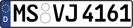 MS-VJ4161