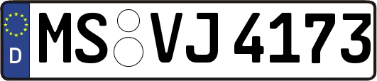 MS-VJ4173