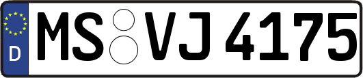 MS-VJ4175