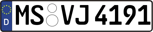 MS-VJ4191