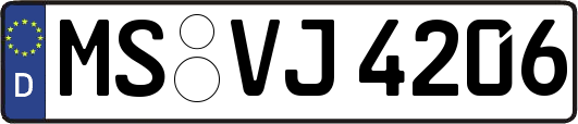 MS-VJ4206