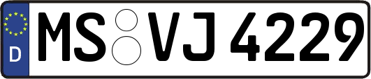 MS-VJ4229