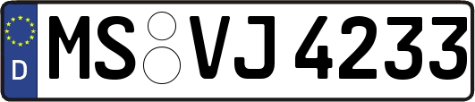 MS-VJ4233