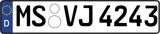 MS-VJ4243