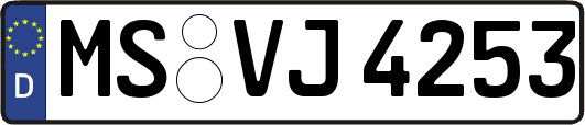MS-VJ4253