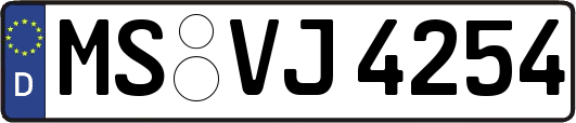 MS-VJ4254