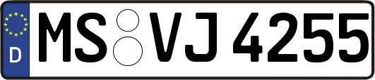 MS-VJ4255