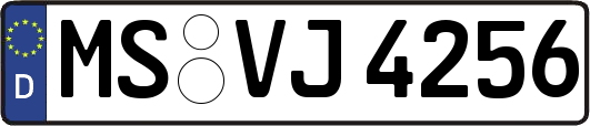 MS-VJ4256