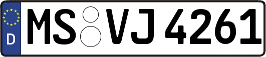 MS-VJ4261