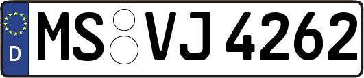 MS-VJ4262