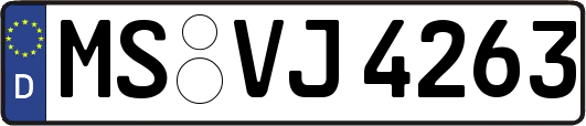 MS-VJ4263