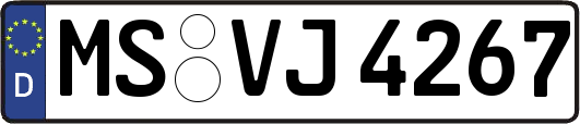 MS-VJ4267