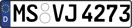 MS-VJ4273