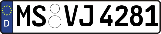 MS-VJ4281